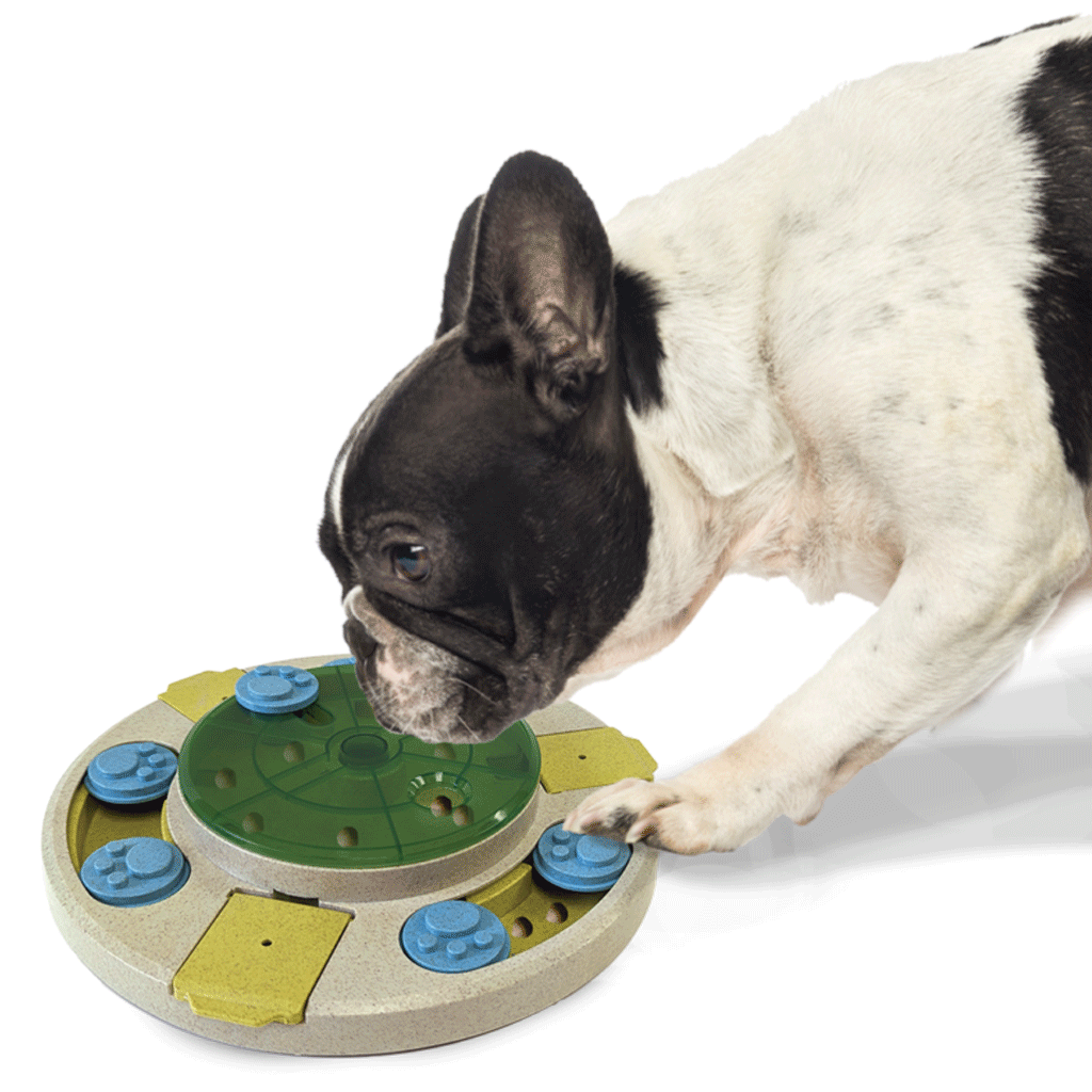 ETHICAL SPOT Seek A Treat Spinner Puzzle King Wholesale Pet Supplies